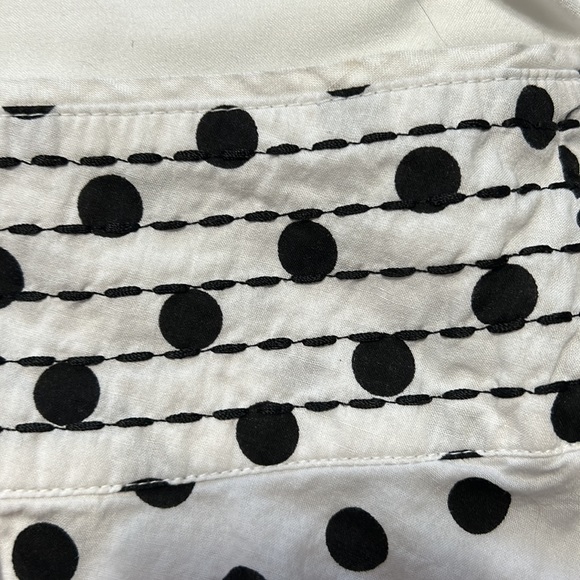 Cute Polka Dot Mini Skirt - Picture 8 of 9